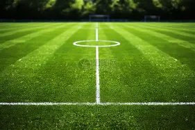 范戴克展望,未来,揭秘职业生,皇冠娱乐,Crown,皇冠娱乐官网,皇冠娱乐体育官网,皇冠娱乐体育下载,皇冠娱乐APP